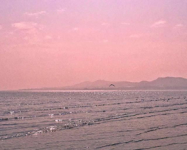 微信投票的建议微信投票仅限本地区