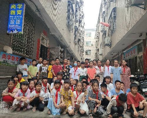 网上买投票种类价格？微信上买投票数靠谱不？？