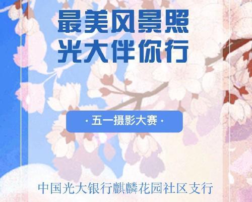 场外微信投票微信号聊怎么投票