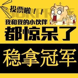 如何选择安全的常规刷票公司