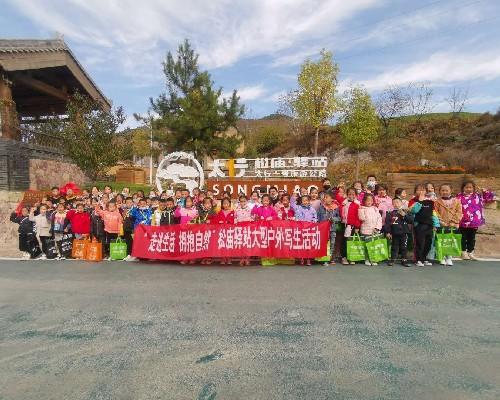 投票给各种专业刷票网站的意义是什么