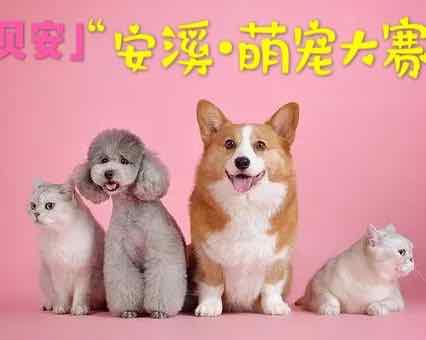 微信刷票我相信一百万水手！