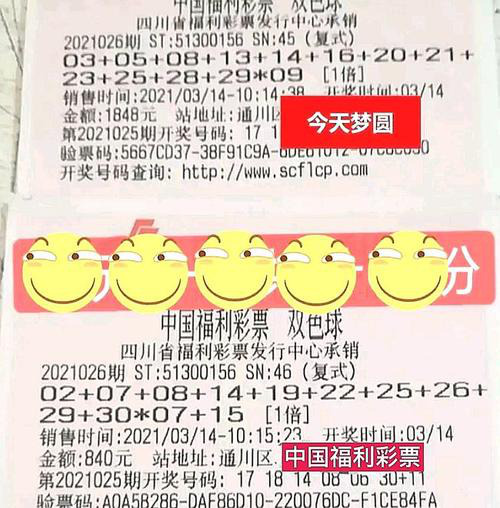 选择刷票的行为，整个过程中的主要方法是什么